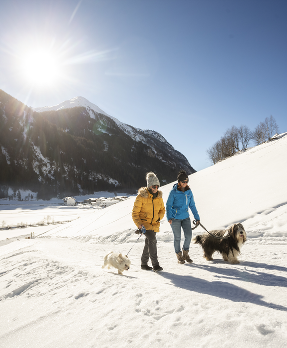 © TVB Tiroler Oberland-Kaunertal-Martin Lugger-Winterwandern mit Hund